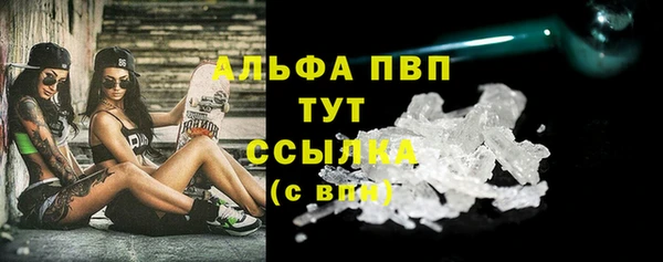 спайс Бородино