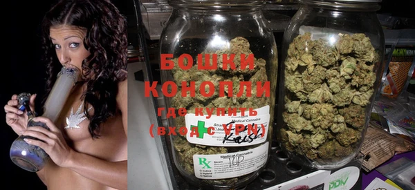 спайс Бородино