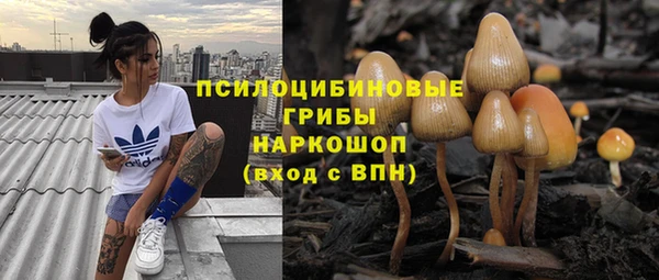 спайс Бородино