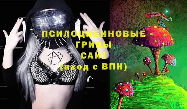 спайс Бородино