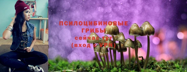 соль ск Верхний Тагил