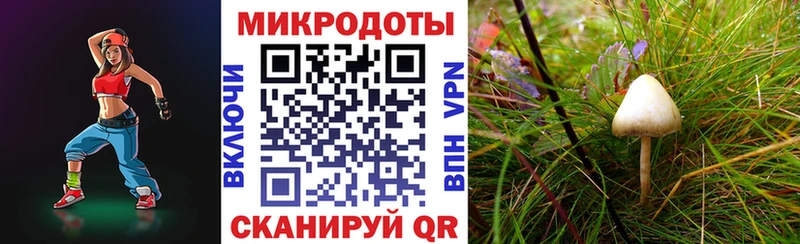 Псилоцибиновые грибы MAGIC MUSHROOMS  Купить  Котельниково 